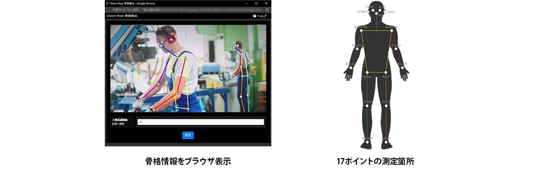 WEBブラウザで骨格情報を表示