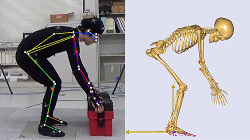 株式会社テラバイトの姿勢推定AIを用いた筋骨格解析に利用