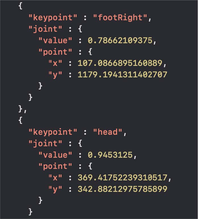 推論結果を画像と座標データで保存