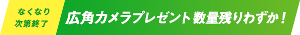 VisionPose Nano