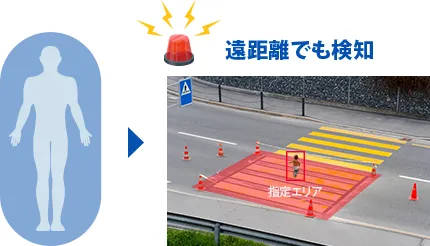 全身選択