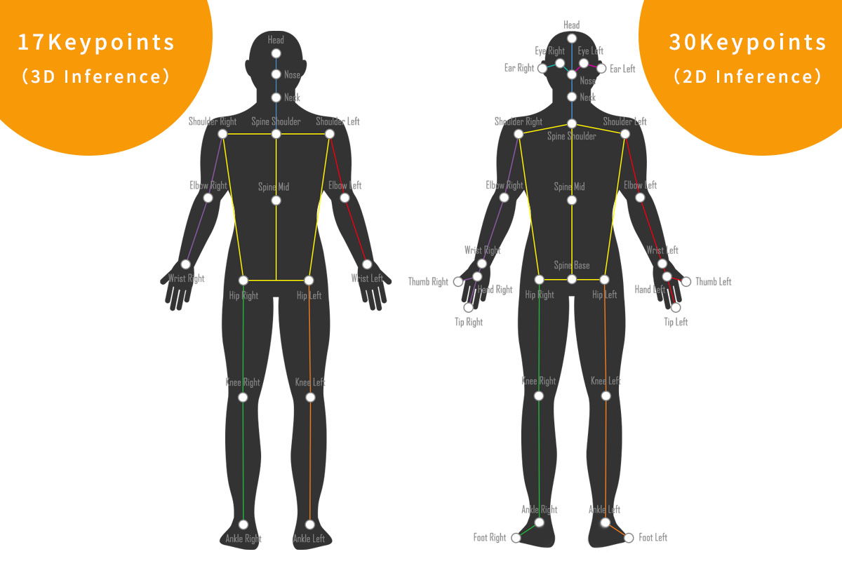 VisionPose Single3D Detection Keypoints Overview